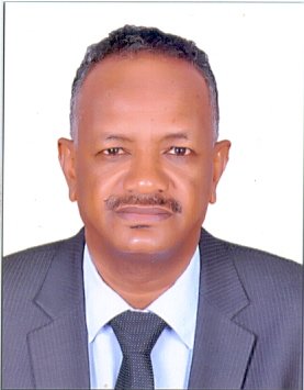 Mohamed Khair Omar Alawad Mbyou